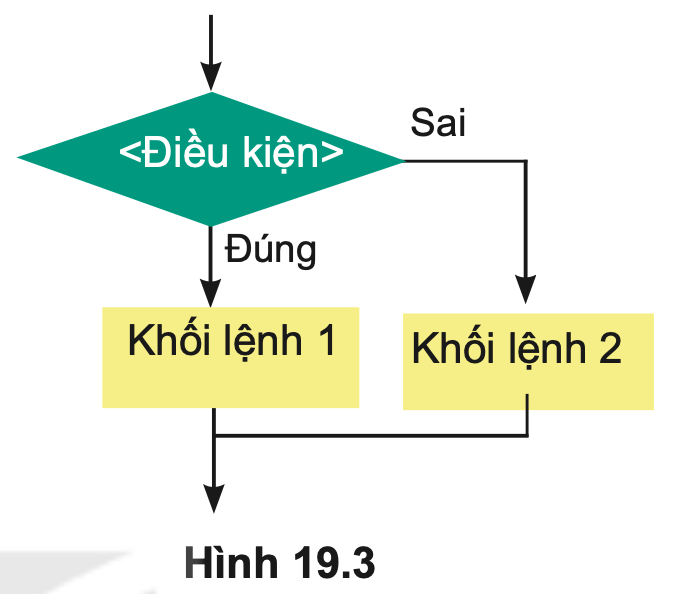 Tin học 10 - Bài 19. Câu lệnh rẽ nhánh If 6 câu lệnh rẽ nhánh if