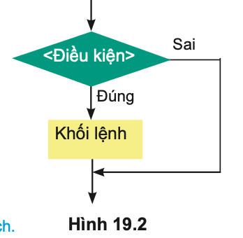 Tin học 10 - Bài 19. Câu lệnh rẽ nhánh If 5 câu lệnh rẽ nhánh if