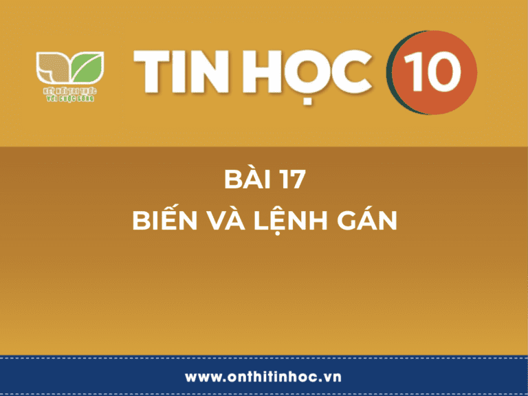 Tin học 10 - Bài 24