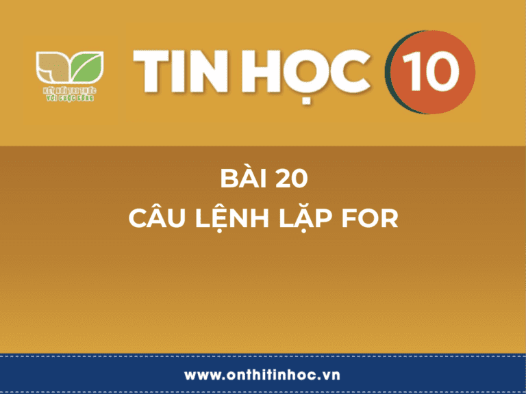 Tin học 10 - Bài 24