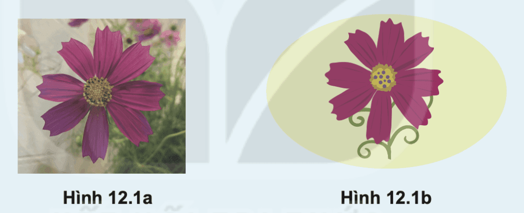 Tin học 10 – Bài 12. Phần mềm thiết kế đồ hoạ 8 Tin học 10 Bài 12 Hoạt động khởi động