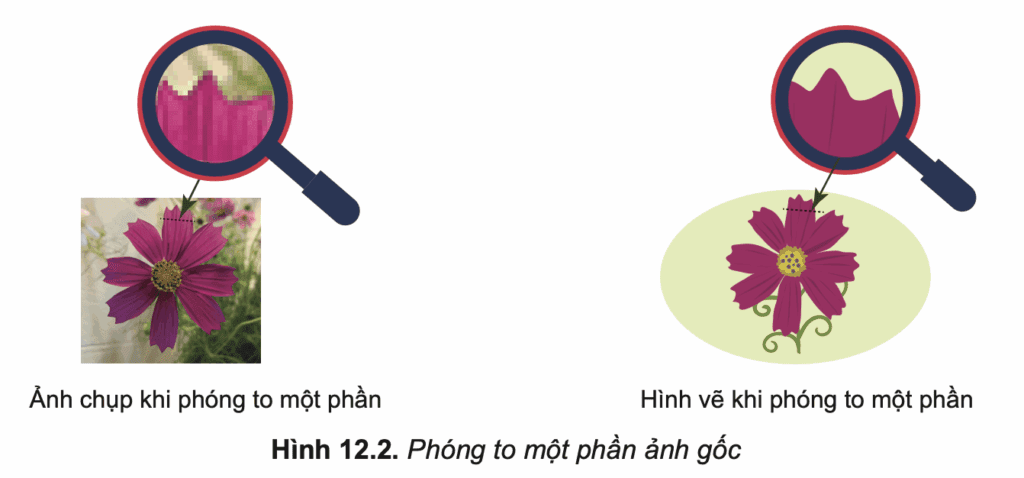 Tin học 10 – Bài 12. Phần mềm thiết kế đồ hoạ 9