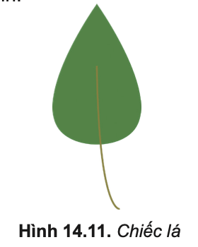 Tin học 10 – Bài 14. Làm việc với đối tượng đường và văn bản 28 Tin học 10 Bài 14 Nhiệm vụ 1 Vẽ chiếc lá và tô màu