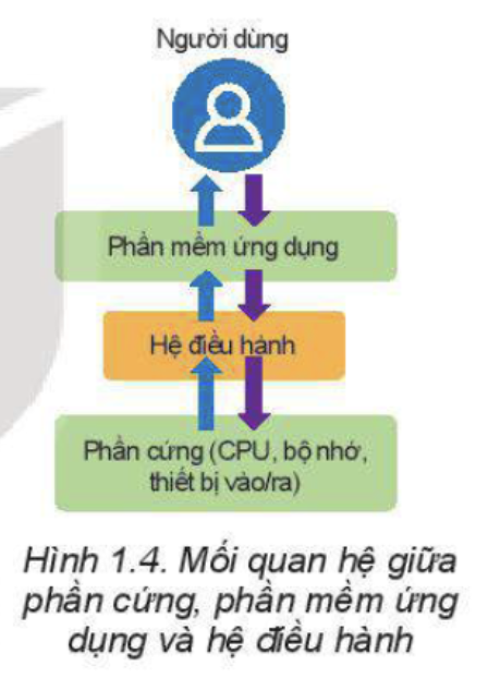 Tin học 11 Bài 1 Câu hỏi củng cố