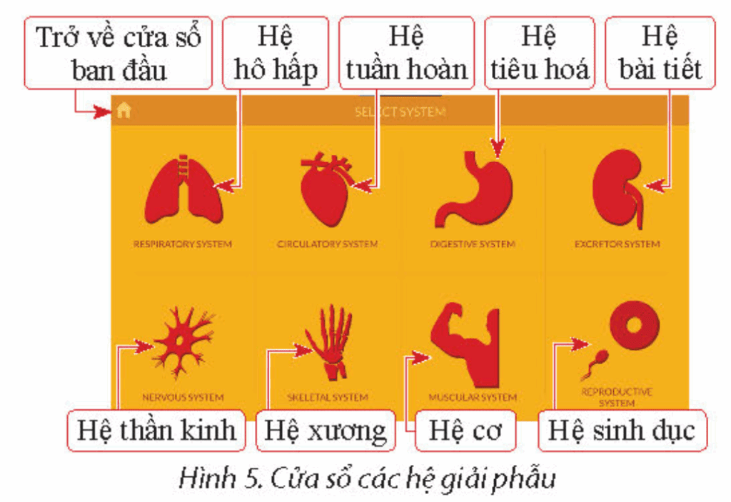 Tin học 9 - Bài 4. Phần mềm mô phỏng 16 Tin học 9 Bài 4 b Quan sát hiện tượng tự nhiên với trang web PhET