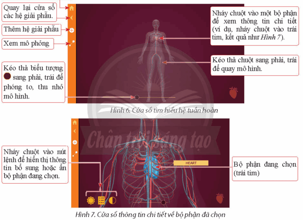 Tin học 9 - Bài 4. Phần mềm mô phỏng 17 Tin học 9 Bài 4 b Quan sát hiện tượng tự nhiên với trang web PhET