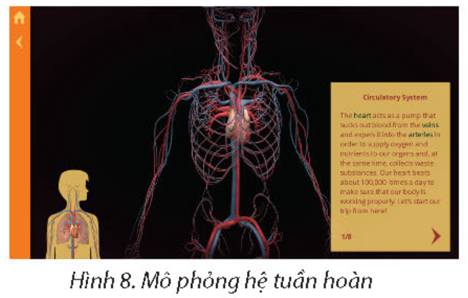 Tin học 9 - Bài 4. Phần mềm mô phỏng 18 Tin học 9 Bài 4 b Quan sát hiện tượng tự nhiên với trang web PhET