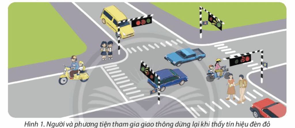 Bài 1 Hoạt động khởi động