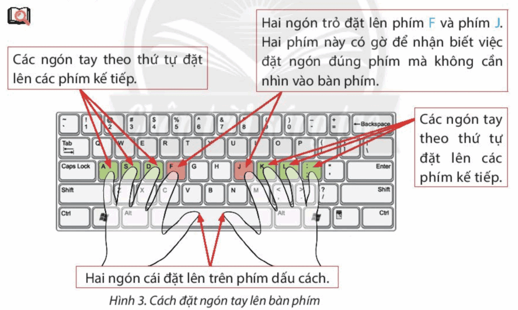 Tin học 3 - Bài 5. Tập gõ bàn phím 9 Bài 5 Cách đặt tay lên bàn phím