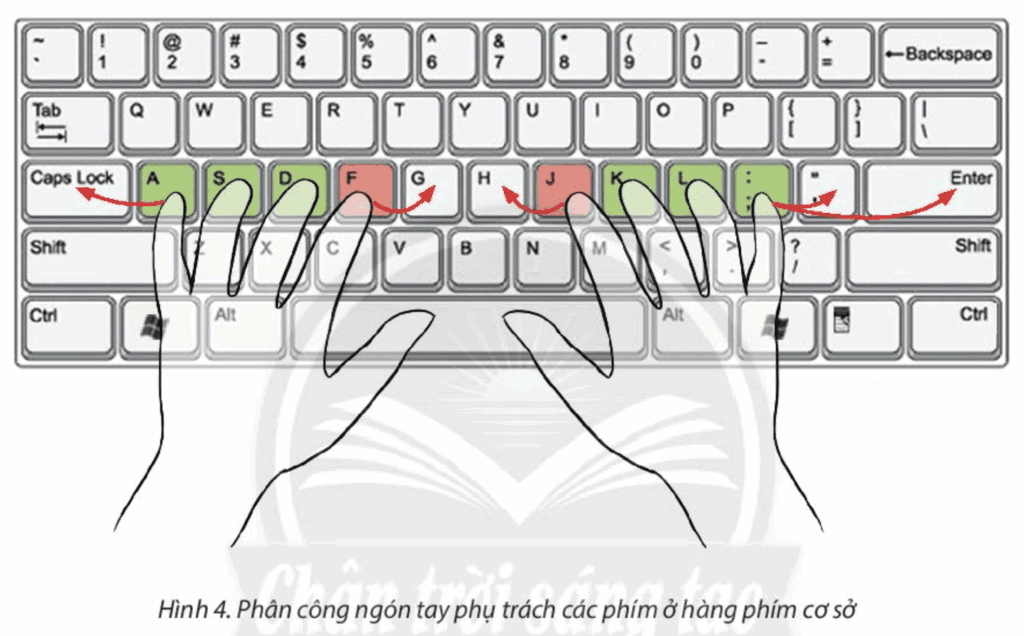 Tin học 3 - Bài 5. Tập gõ bàn phím 10 Bài 5 Quy tắc gõ phím