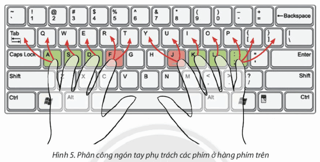 Tin học 3 - Bài 5. Tập gõ bàn phím 11 Bài 5 Quy tắc gõ phím