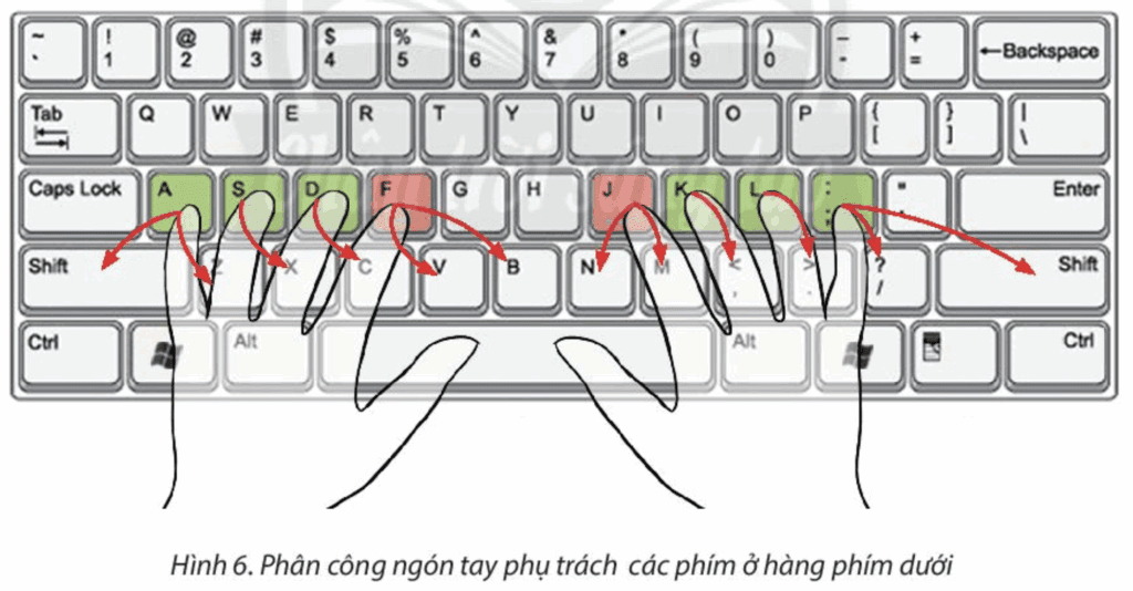 Tin học 3 - Bài 5. Tập gõ bàn phím 12 Bài 5 Quy tắc gõ phím