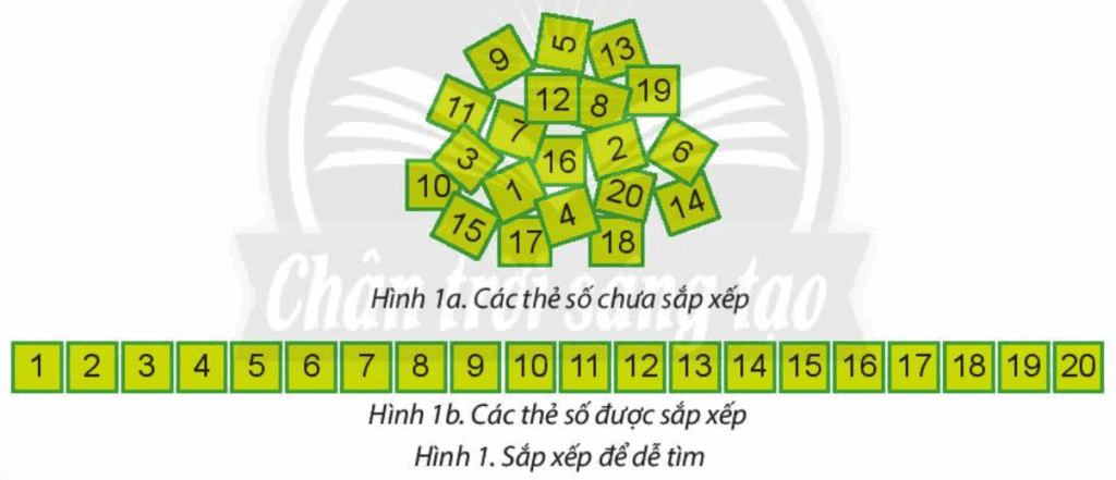 Tin học 3 - Bài 7. Sắp xếp để dễ tìm 7 Bài 7 Hoạt động khởi động